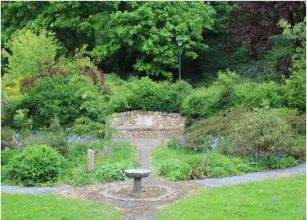 Ailie's garden