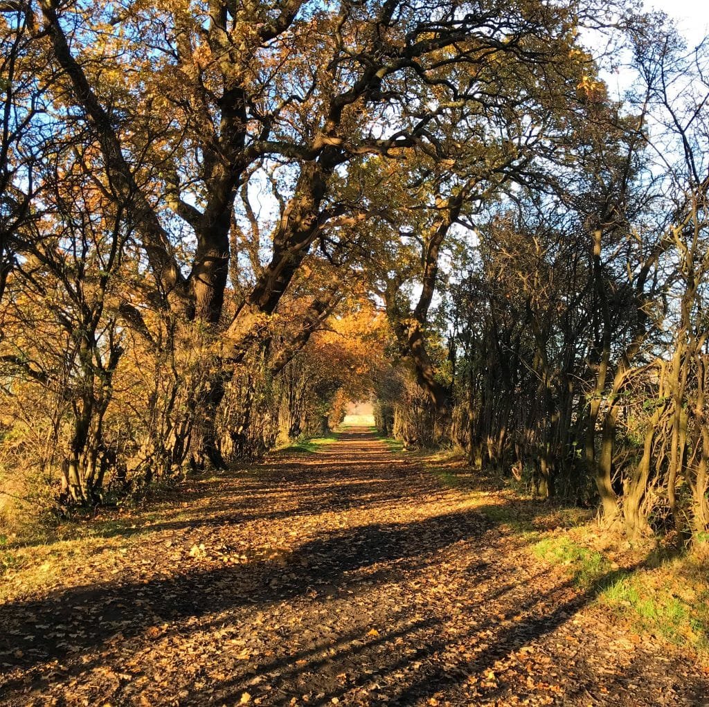 Borrowmeadow Farm Road