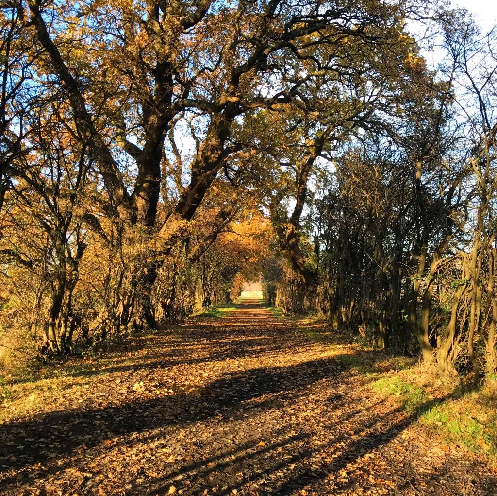 Borrowmeadow Farm Road
